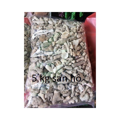 5 Kg san hô lọc nước bể cá cảnh và bể hải sản