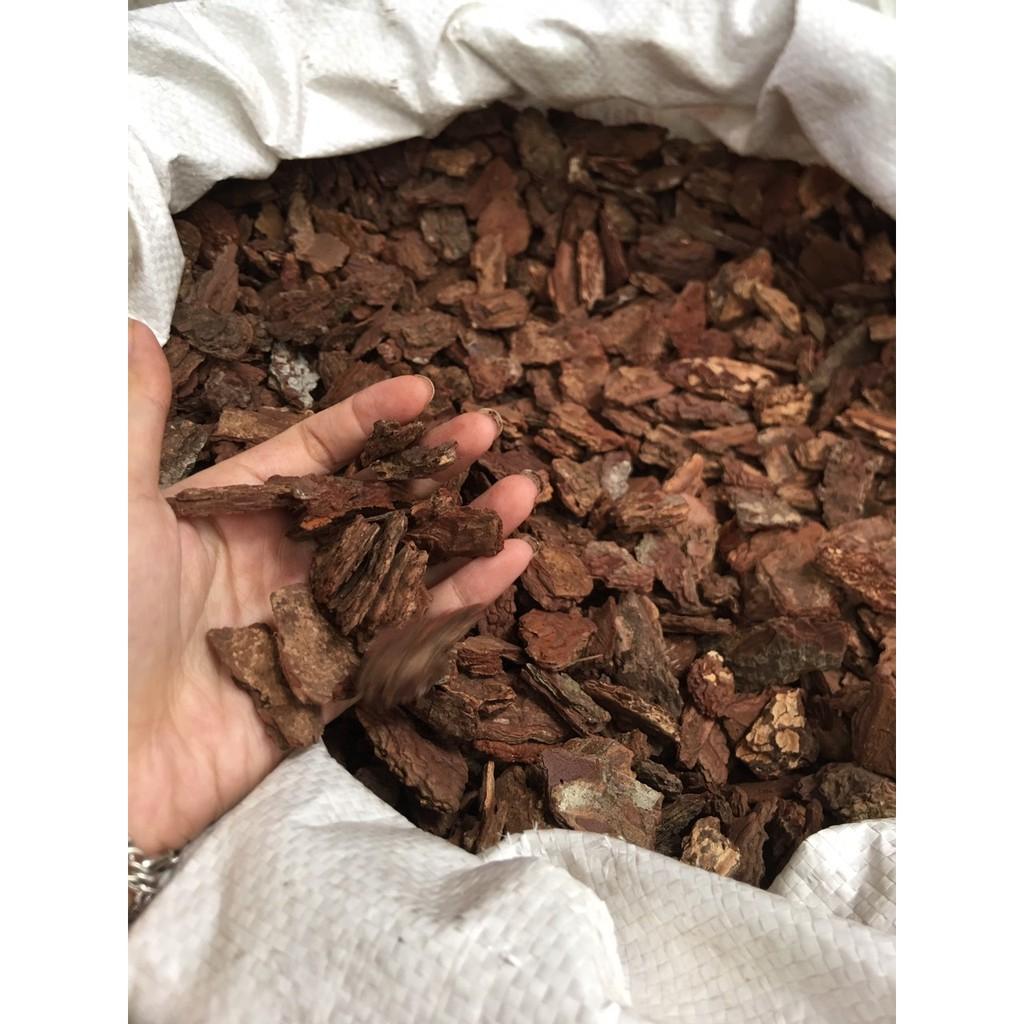 1kg Vỏ thông đỏ trồng lan size 3-5cm [đã qua xử lý]