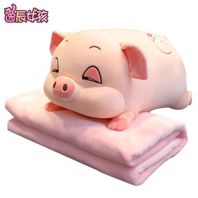 Heo kèm mền 3in1 chăn gối văn phòng