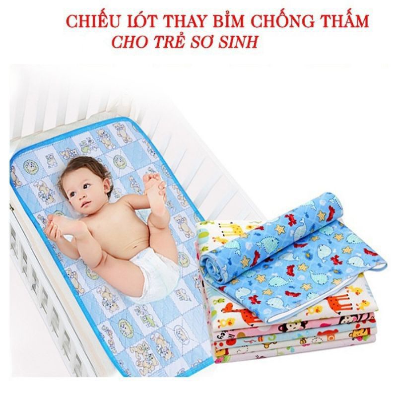 Chiếu lót chống thấm thay đồ cho bé loại to 50x70cm