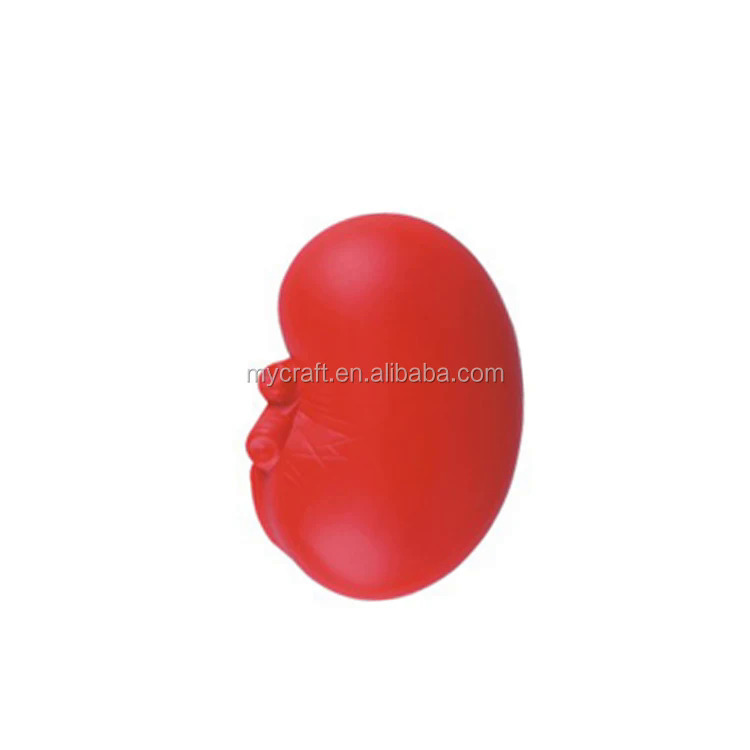 Pxing-Nhà máy tùy chỉnh PU organ hình dạng thận căng thẳng Đồ chơi bóng cho Educationxiu52-d