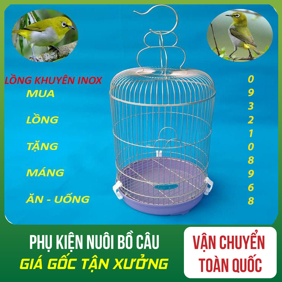 Chùm ảnh: Cận cảnh các loài chim chào mào độc đáo của Việt Nam - Redsvn.net