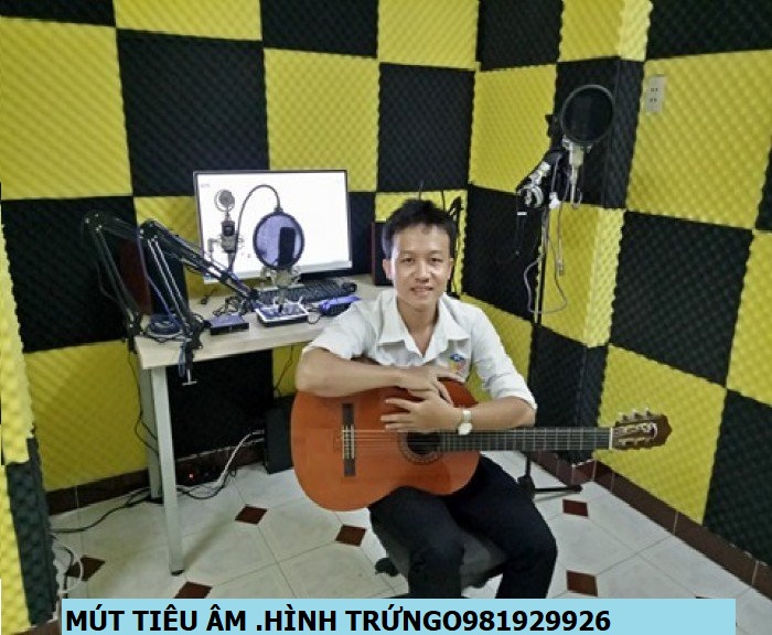 20 tấm mút tiêu âm cách âm hình trứng(hột gà) Kích thước 1 tấm 40*40cm dày 5cm