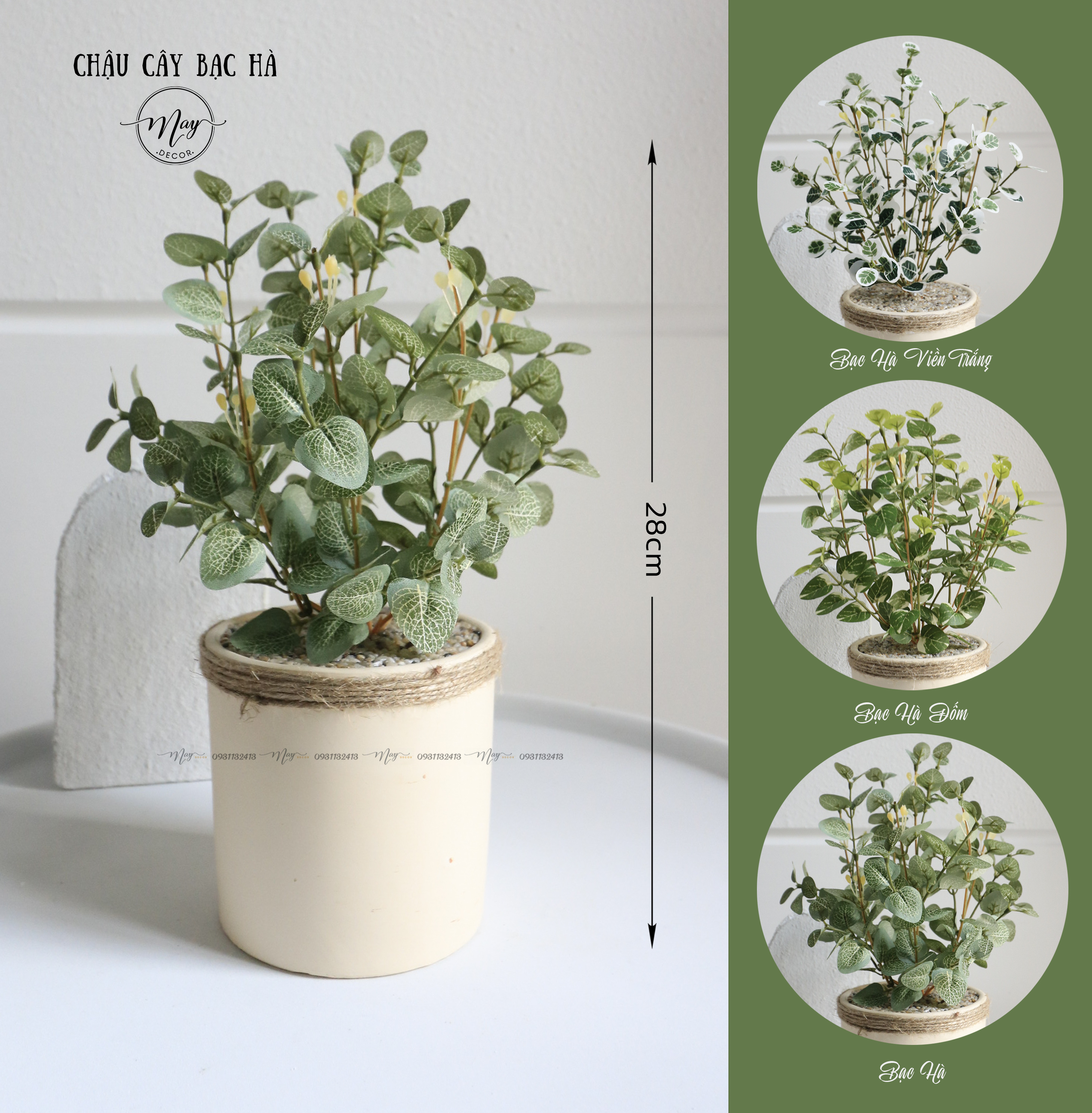 Cây giả decor, Chậu cây lá táo bạc, bạc hà trang trí, để bàn, chậu trụ 11-maydecor
