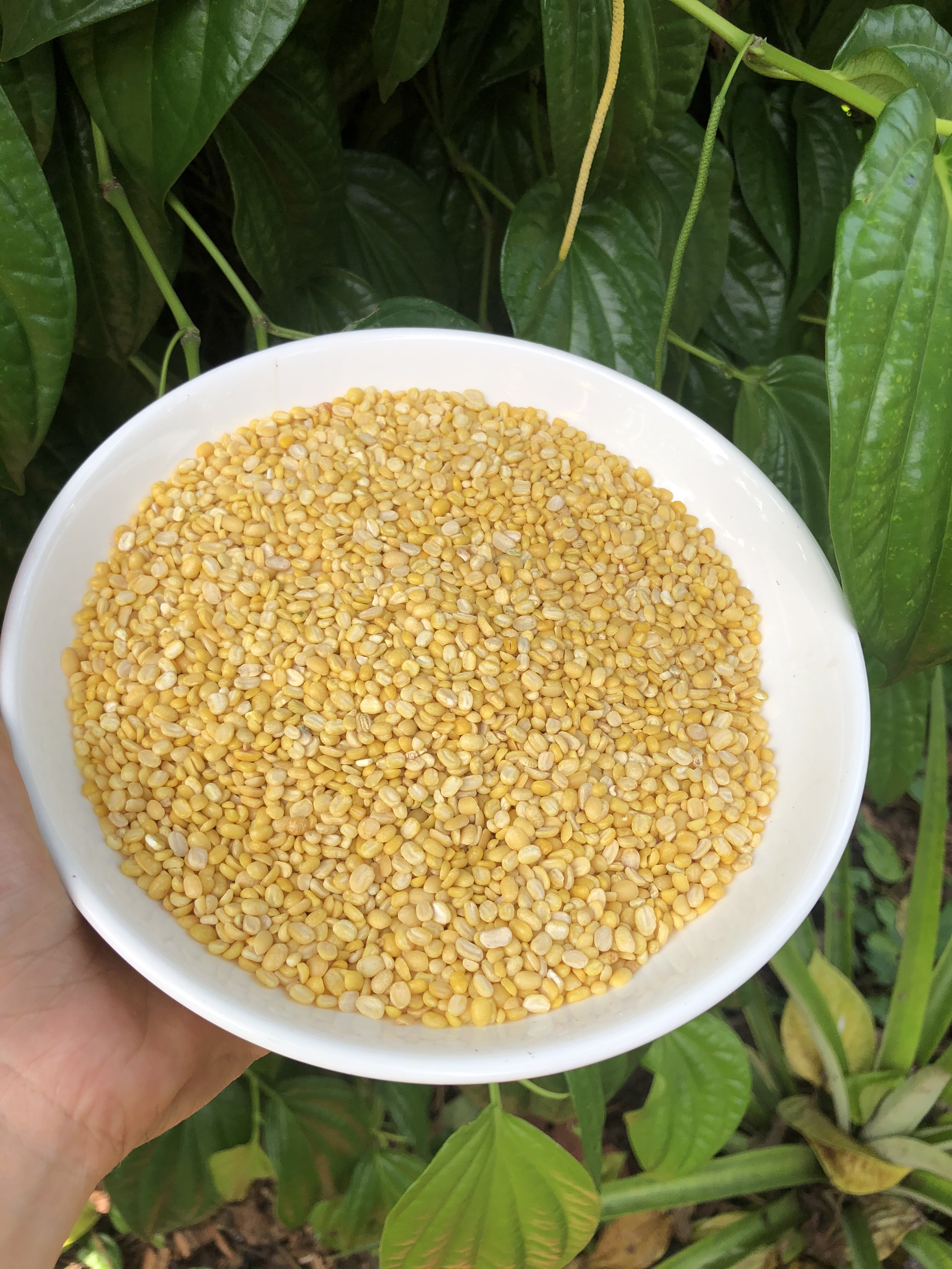 Đậu xanh đã bóc vỏ, cà sạch vỏ 500g