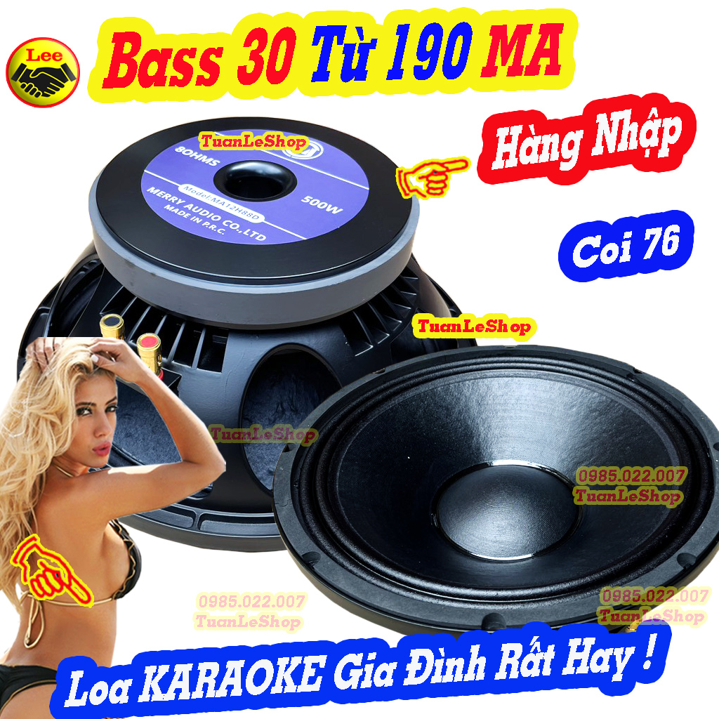 Loa bass căng, loa bas 30 coi 76 từ 190, hàng nhập chất lượng - giá 01 chiếc bass 30 ma - loa 3 tac ma từ 190 88