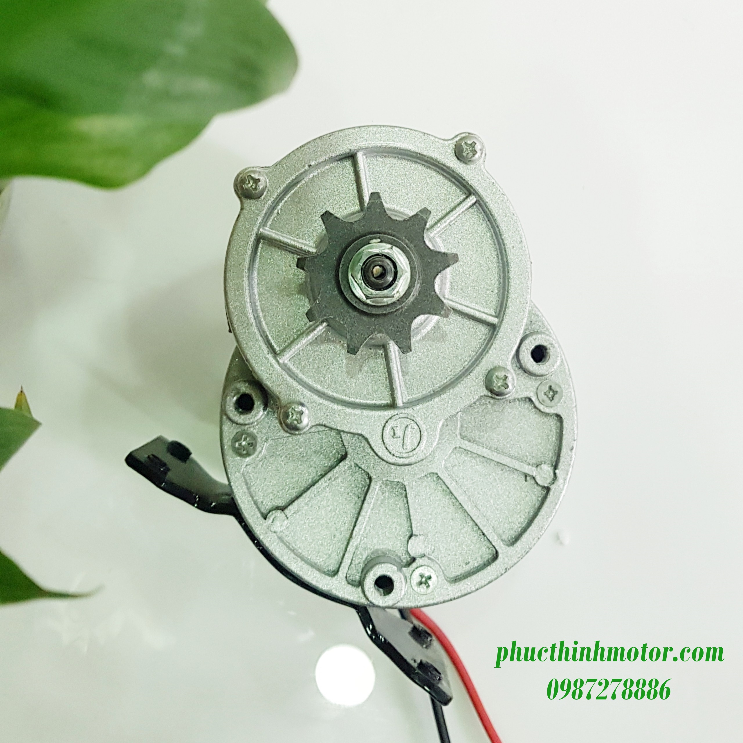 Động cơ chổi than 24v250w