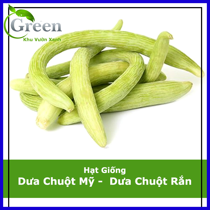 Hạt giống dưa chuột mỹ siêu dài - dưa chuột rắn armenian