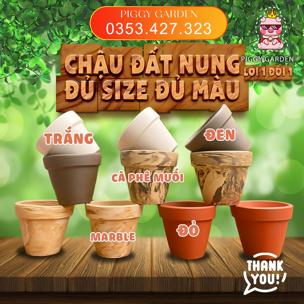 Chậu đất nung - Chậu trồng sen đá, xương rồng - Chậu đất nung mini 3.5cm - 11cm