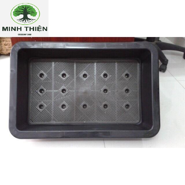 Combo 10 Chậu nhựa trồng rau cỡ lớn Khay trồng rau thế hệ mới size 67cm x 45cm x 21cm (màu đen)