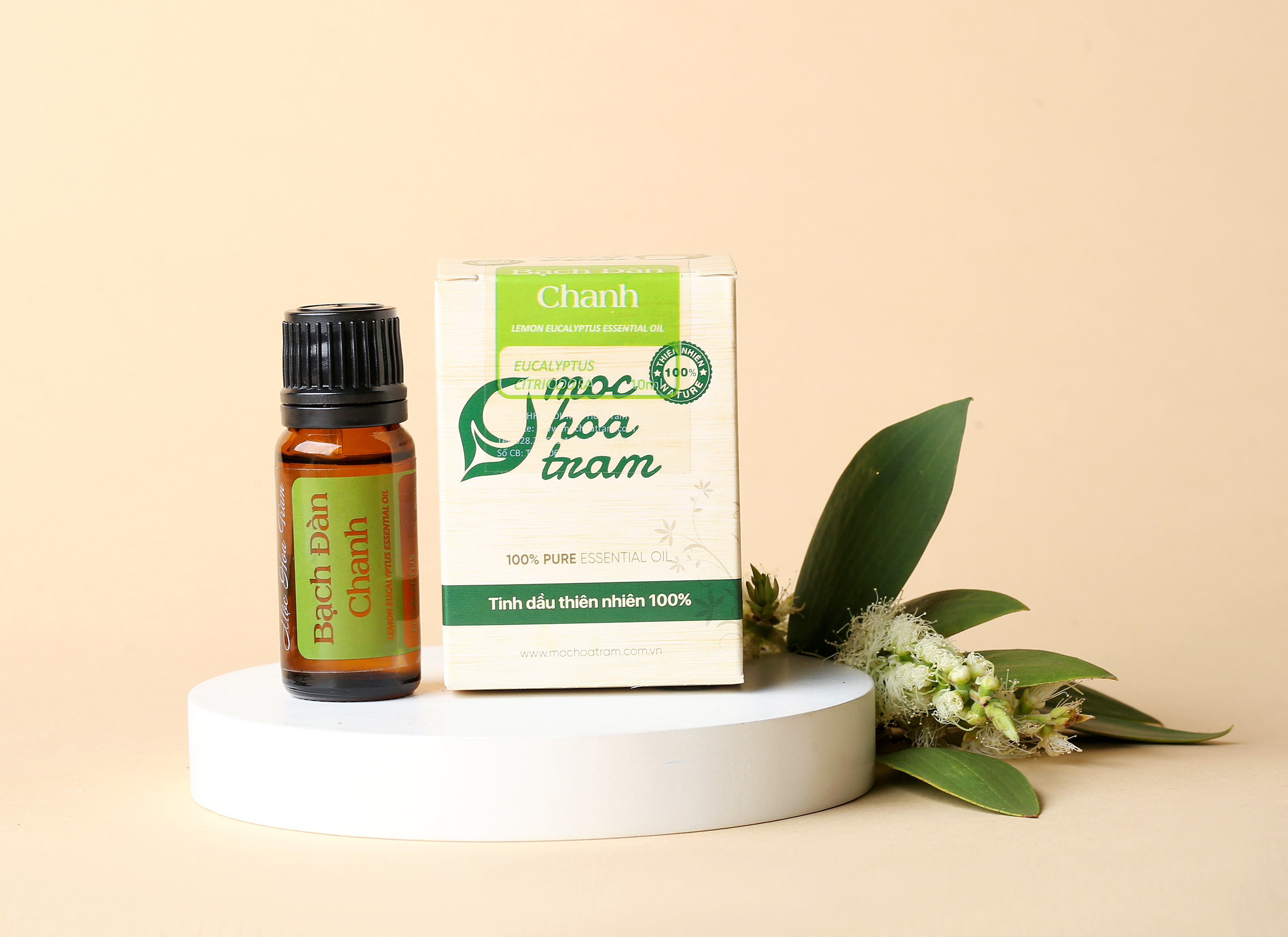 Tinh dầu Bạch Đàn Chanh