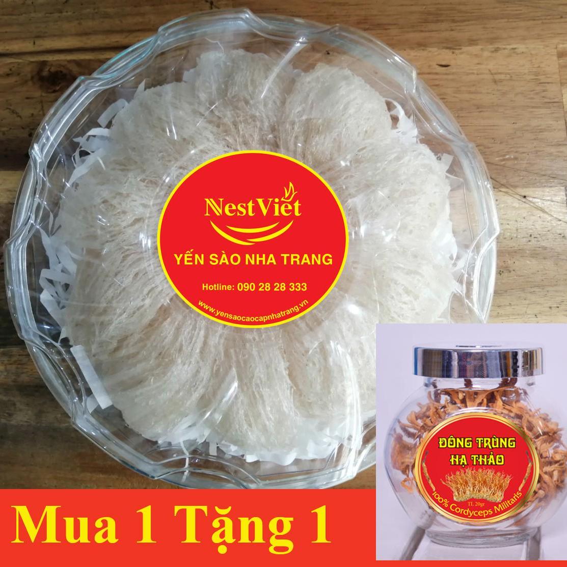 Hộp 100gr yến tinh chế rút lông yến sào khánh hoà , thuong hiệu nestviet tặng 1 hộp đông trùng hạ thảo