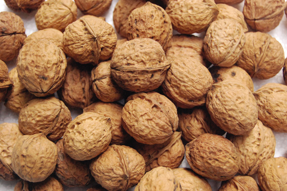 500G QUẢ ÓC CHÓ - Tốt cho bà bầu và trẻ nhỏ
