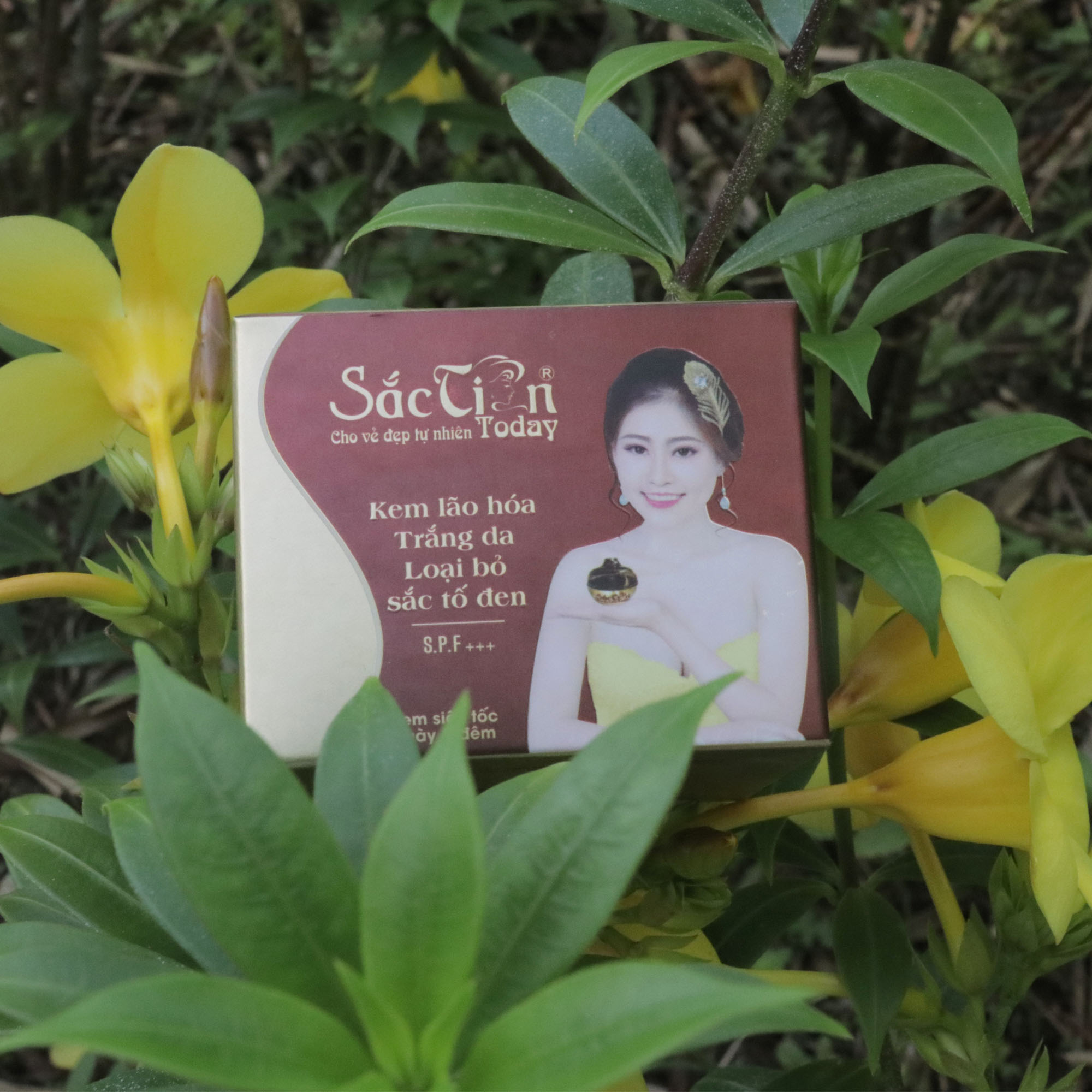 Kem lão hóa trắng da loại bỏ sắc tố đen sắc tiên today