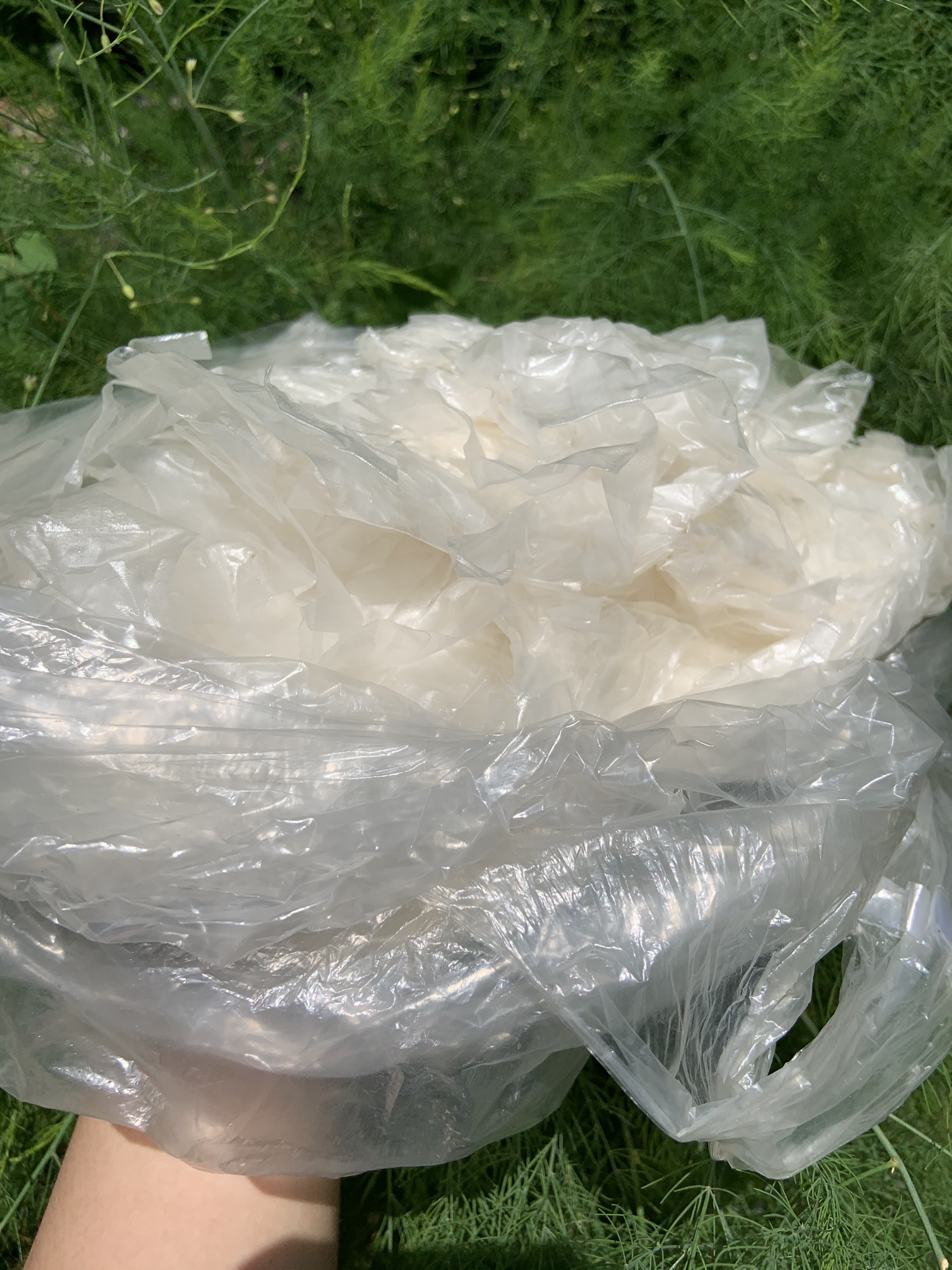 Rìa bánh tráng phơi sương bột gạo - bánh tráng tây ninh
