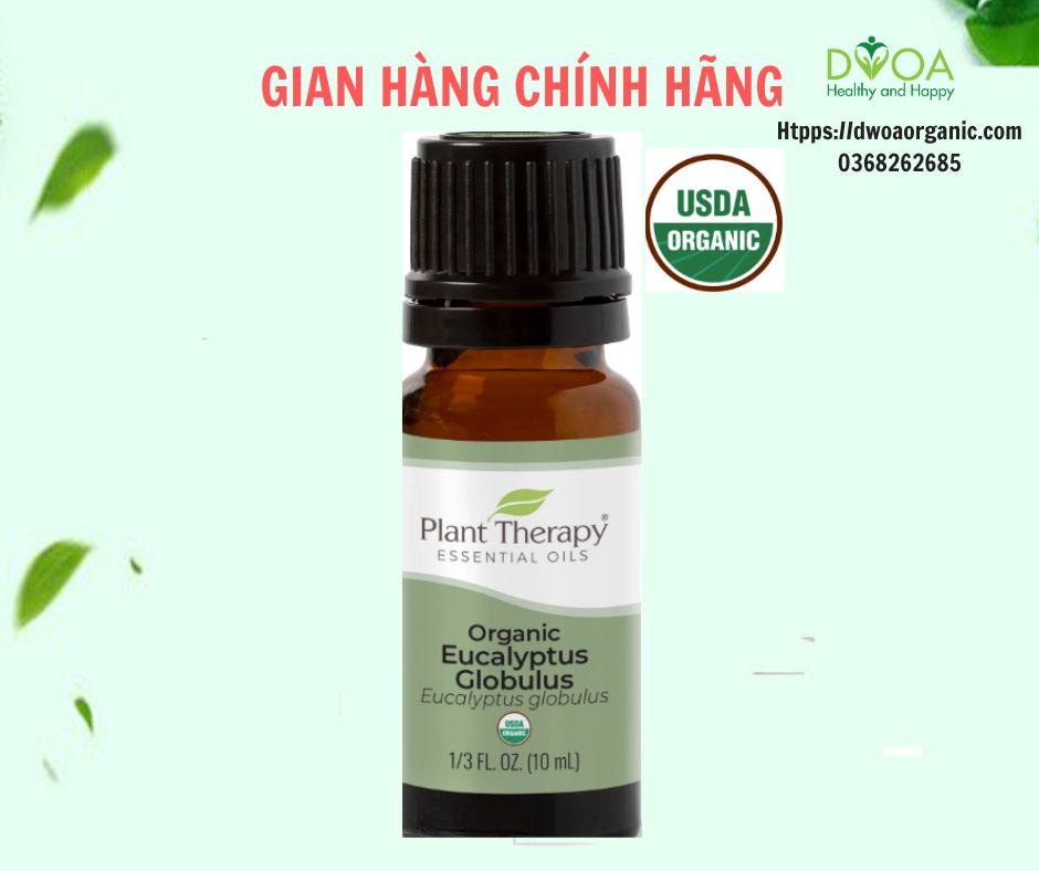 Tinh dầu khuynh diệp hữu cơ Eucalyptus Globulus Plant Therapy