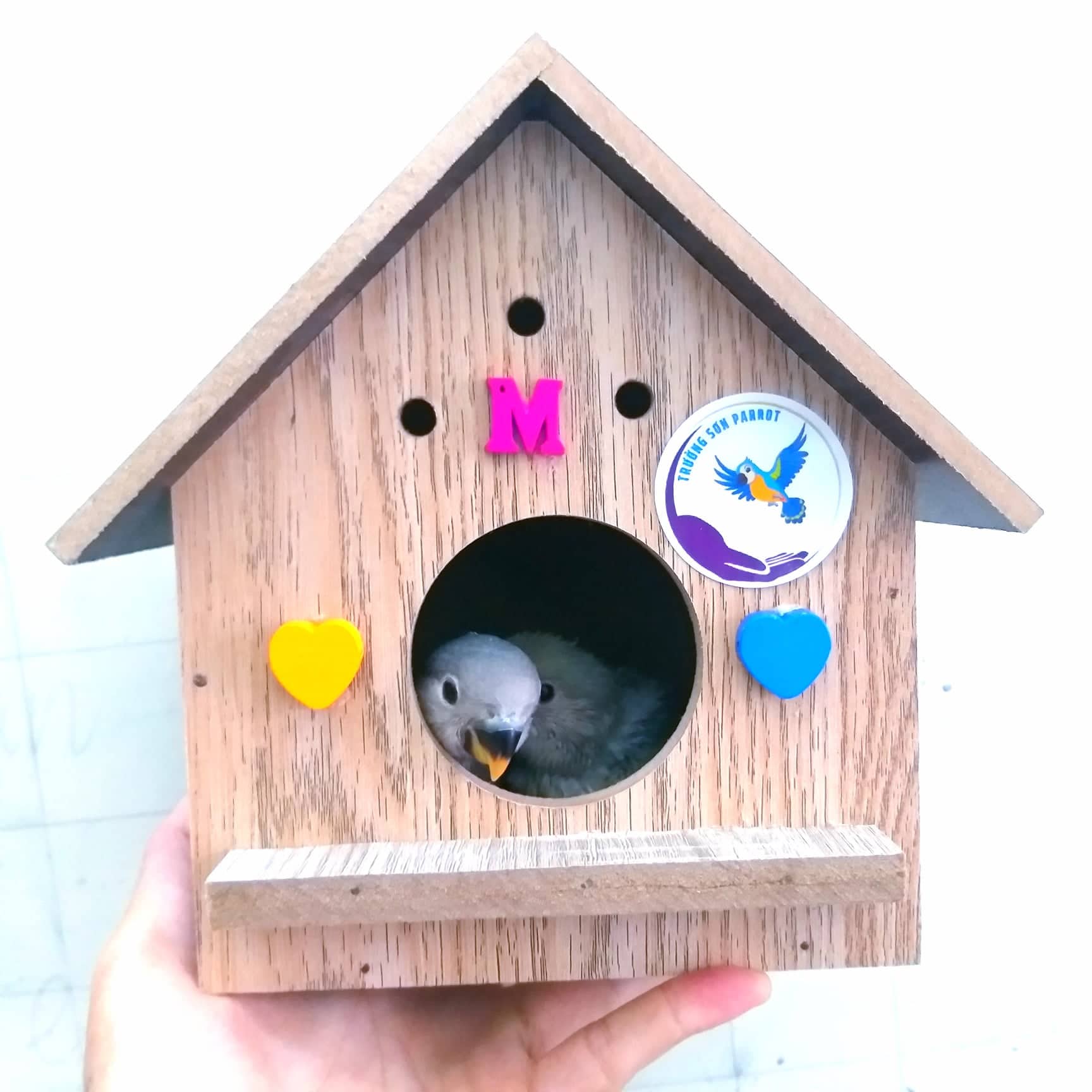 Tổ ngủ cho vẹt lovebird, yến phụng, parrotlet...