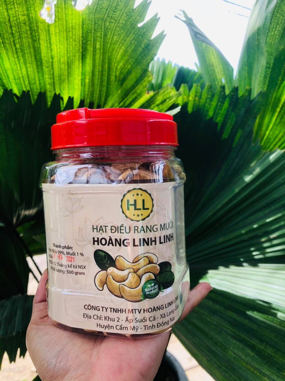  NGUYÊN VỊ KHÔNG MUỐI - 0.5KG HẠT ĐIỀU CHUẨN XUẤT KHẨU LOẠI A CỒ BỂ ĐÔI BỂ BA SẠCH VỎ LỤA- HẠT ĐIỀU HOÀNG LINH LINH 