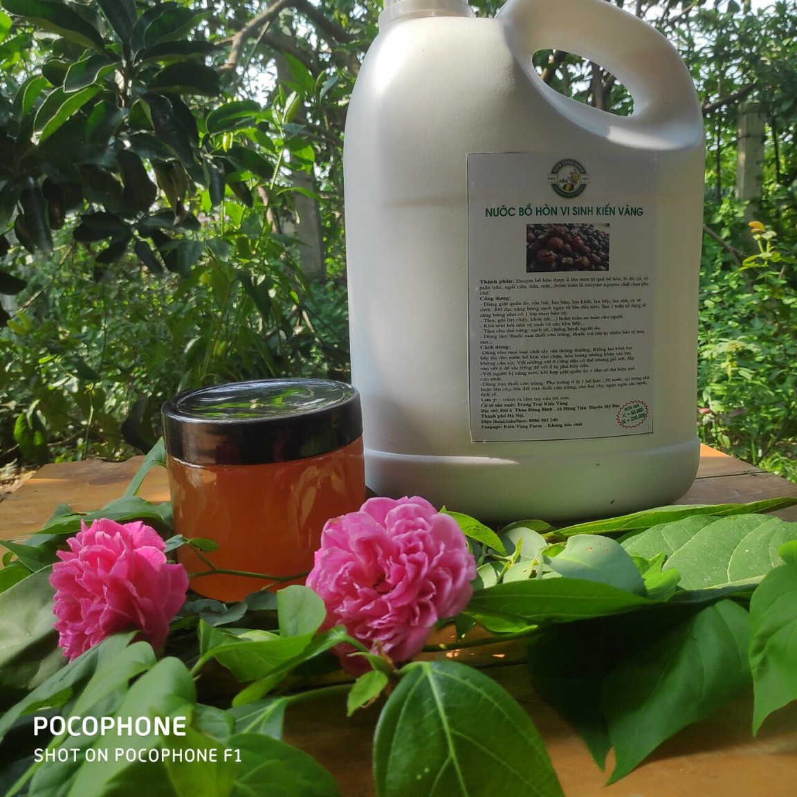 Nước bồ hòn vi sinh kiến vàng nguyên chất chai 5000ml - tẩy rửa đa năng dùng để tắm rửa bát lau nhà giặt quần áo.