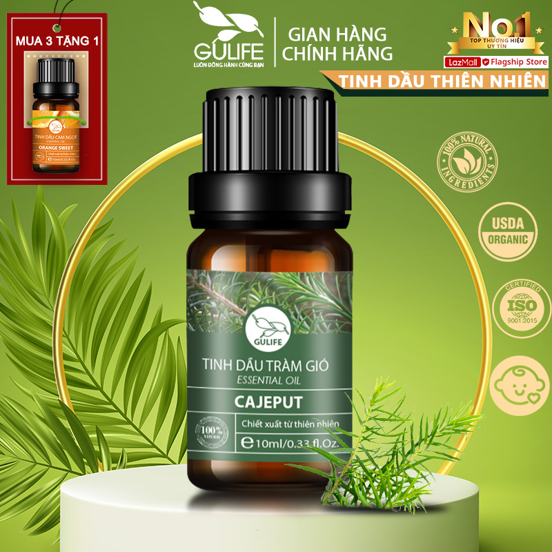 Nguyên Chất Tinh Dầu Tràm Gió Gulife 10ml - Chiết Xuất 100% Từ Thiên Nhiên - Nhiều Công Dụng Tốt Cho Sức Khỏe - Cajeput Oil 100% Nature