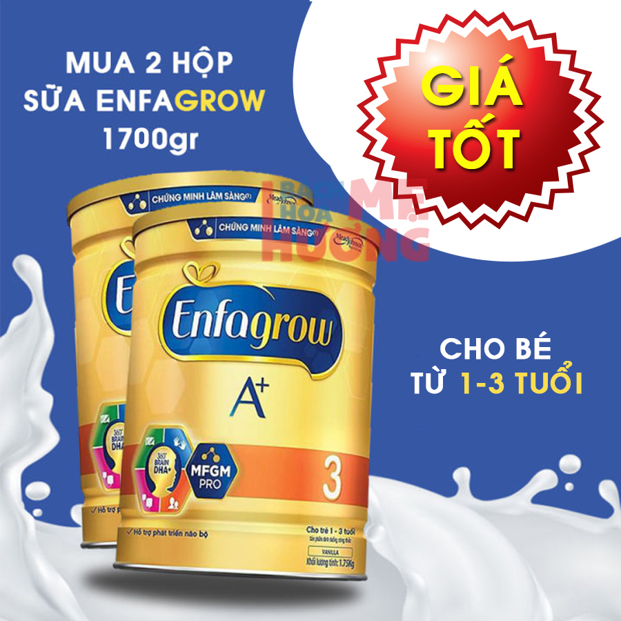 Combo 2 lon sữa bột Enfagrow ( Enfa grow ) A+ 3 Vanilla cho trẻ từ 1-3 tuổi 1700g HSD mới - [Bách Hóa Mẹ Hương]