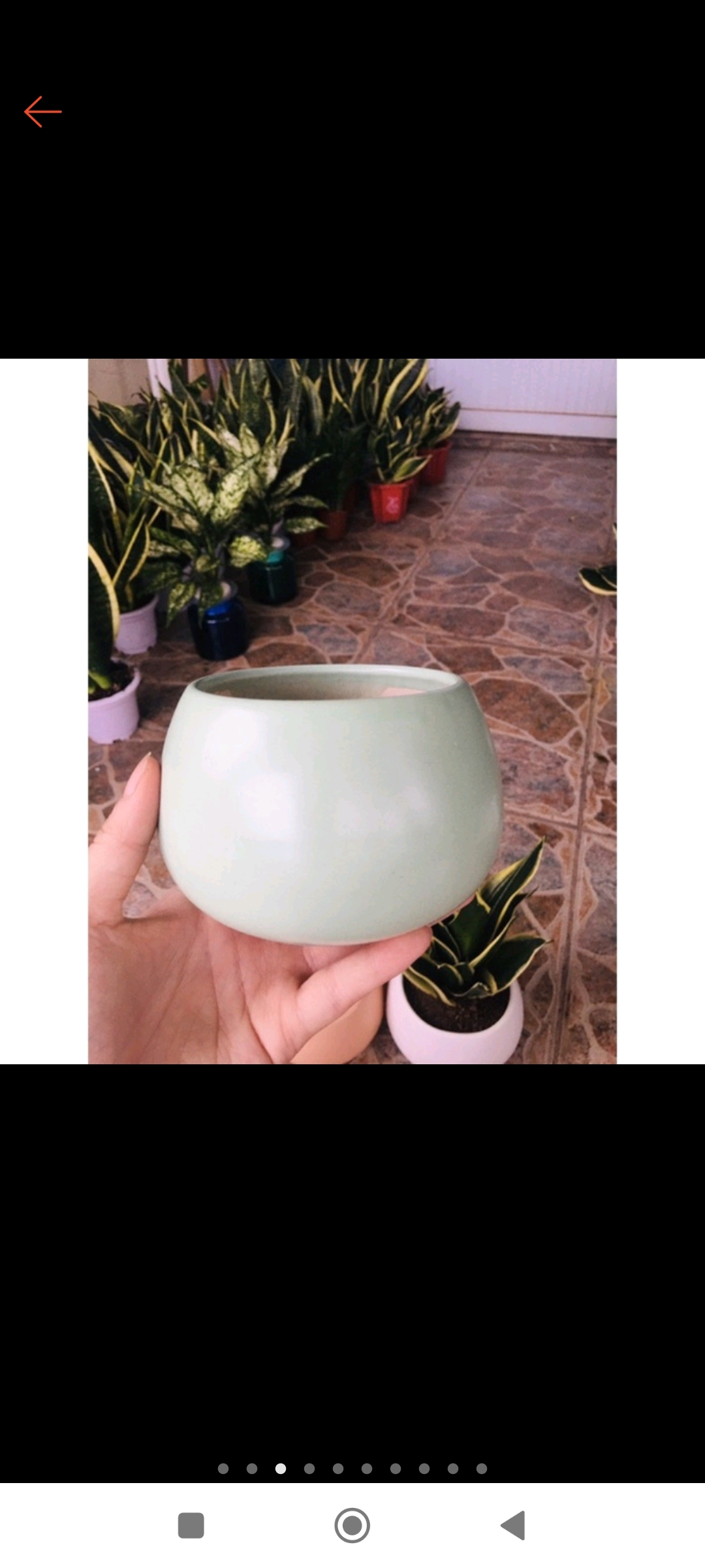 Chậu sứ xanh lá