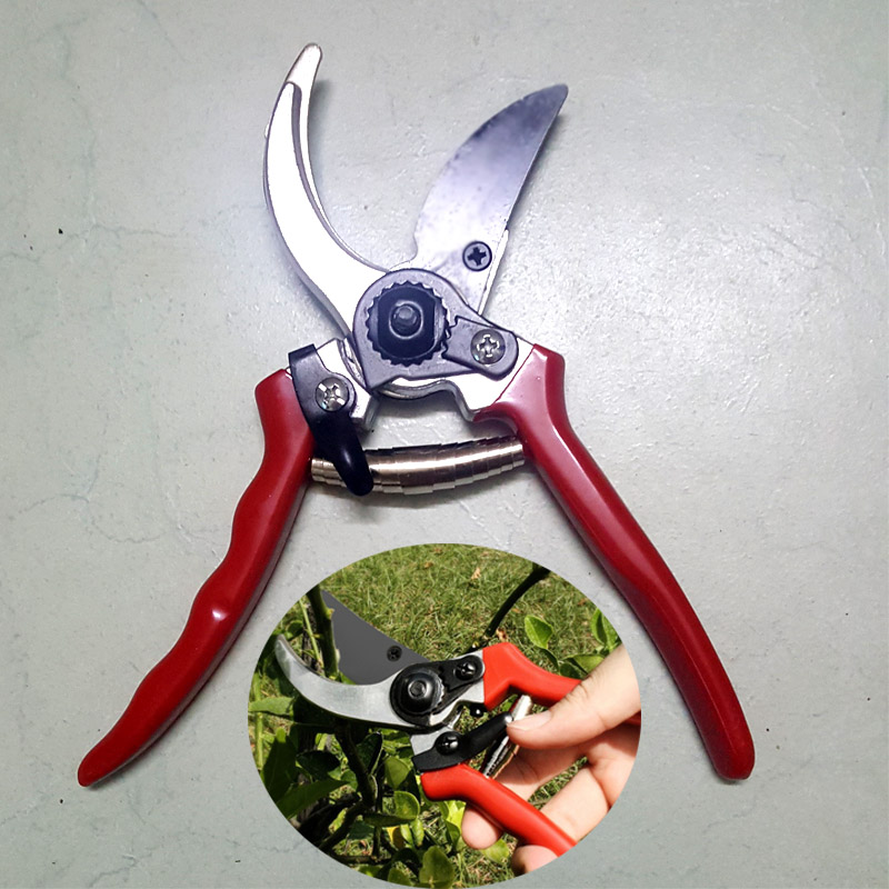 Kéo cắt tỉa cành cây kctc.d01
