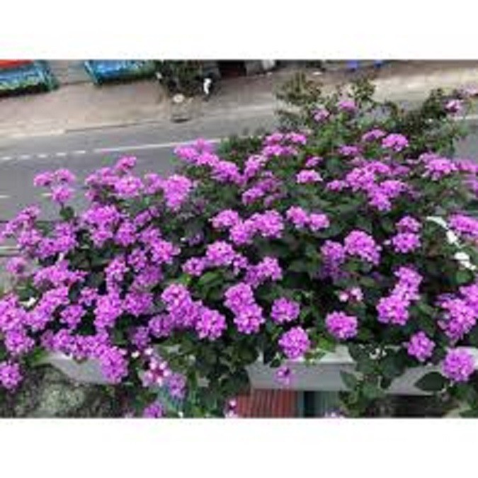 G3uU3QfzpaRwEA6hAkOq_simg_d0daf0_800x1200_max.jpg