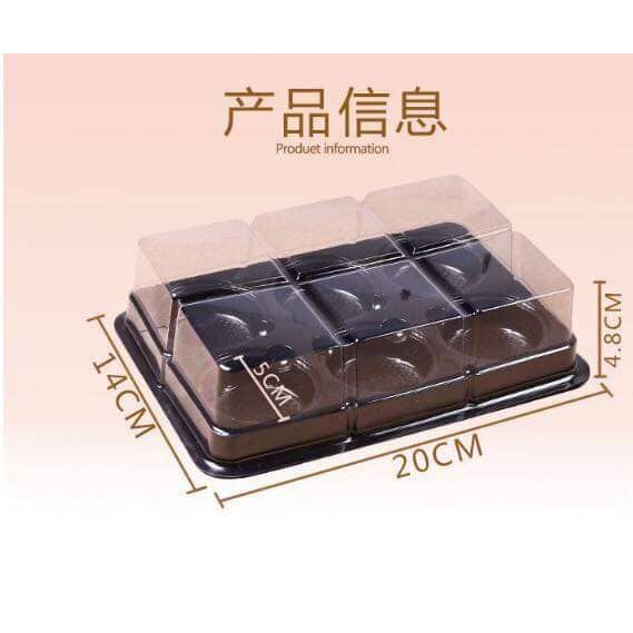 Hộp nhựa mica 6 ngăn fg332