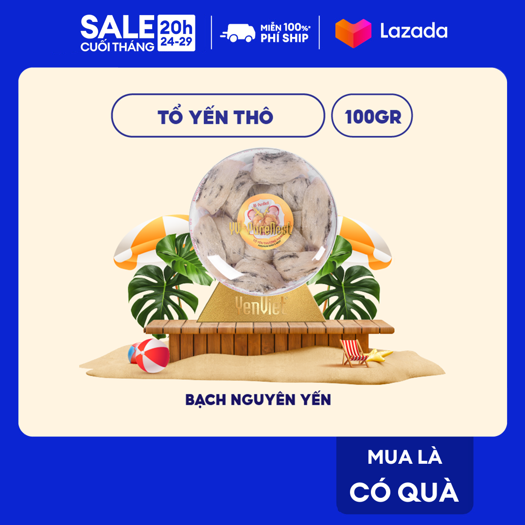 Yến Việt - Tổ yến thô thượng hạng, 100% yến sào thiên nhiên nguyên tai còn lông, hộp 50g/ 100g - Bạch Nguyên Yến
