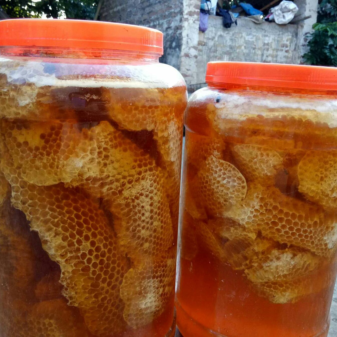 1kg Mật ong rừng nguyên sáp