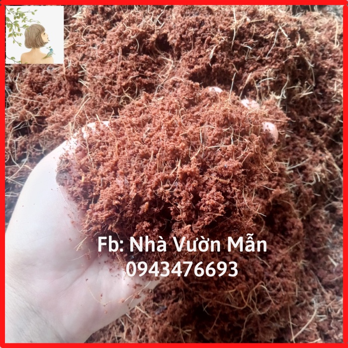 1kg mụn xơ dừa trồng cây - trồng rau - cây cảnh