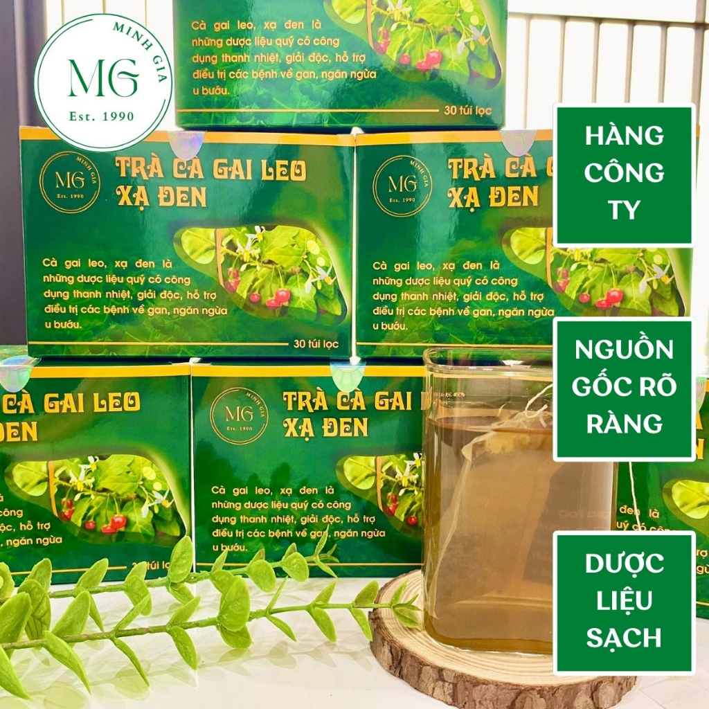 Combo 3 trà cà gai leo xạ đen,trà cà gai leo thanh nhiệt cơ thể, giải rượu, mát gan , giải độc, cải thiện sức khỏe