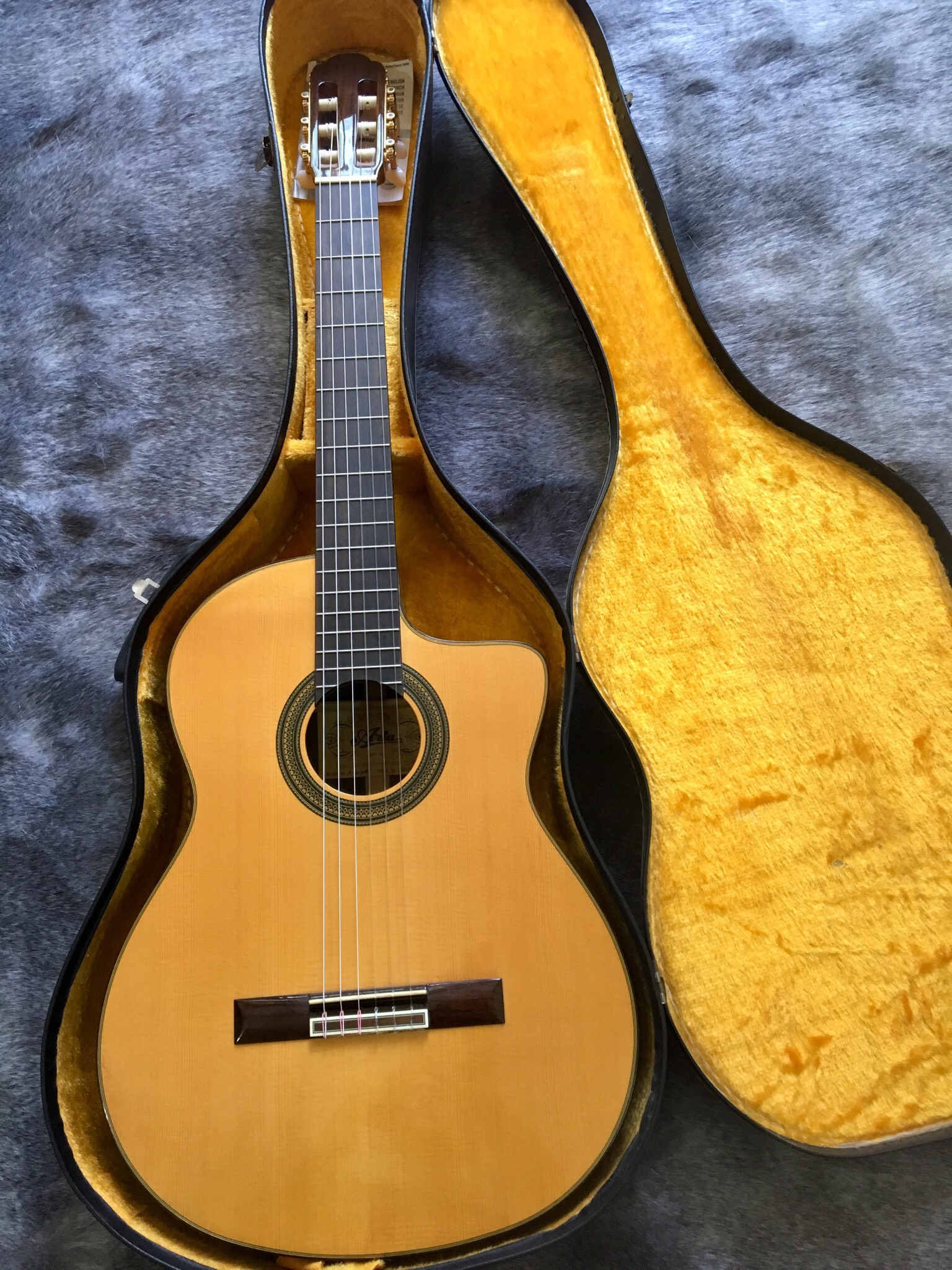 Guitar aria ew 60
