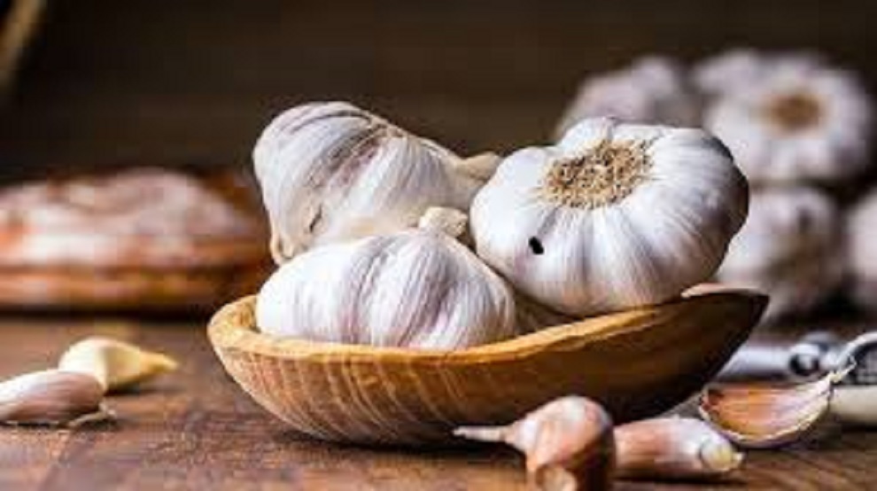 Tỏi tím nhà trồng thơm ngon củ to chắc đều