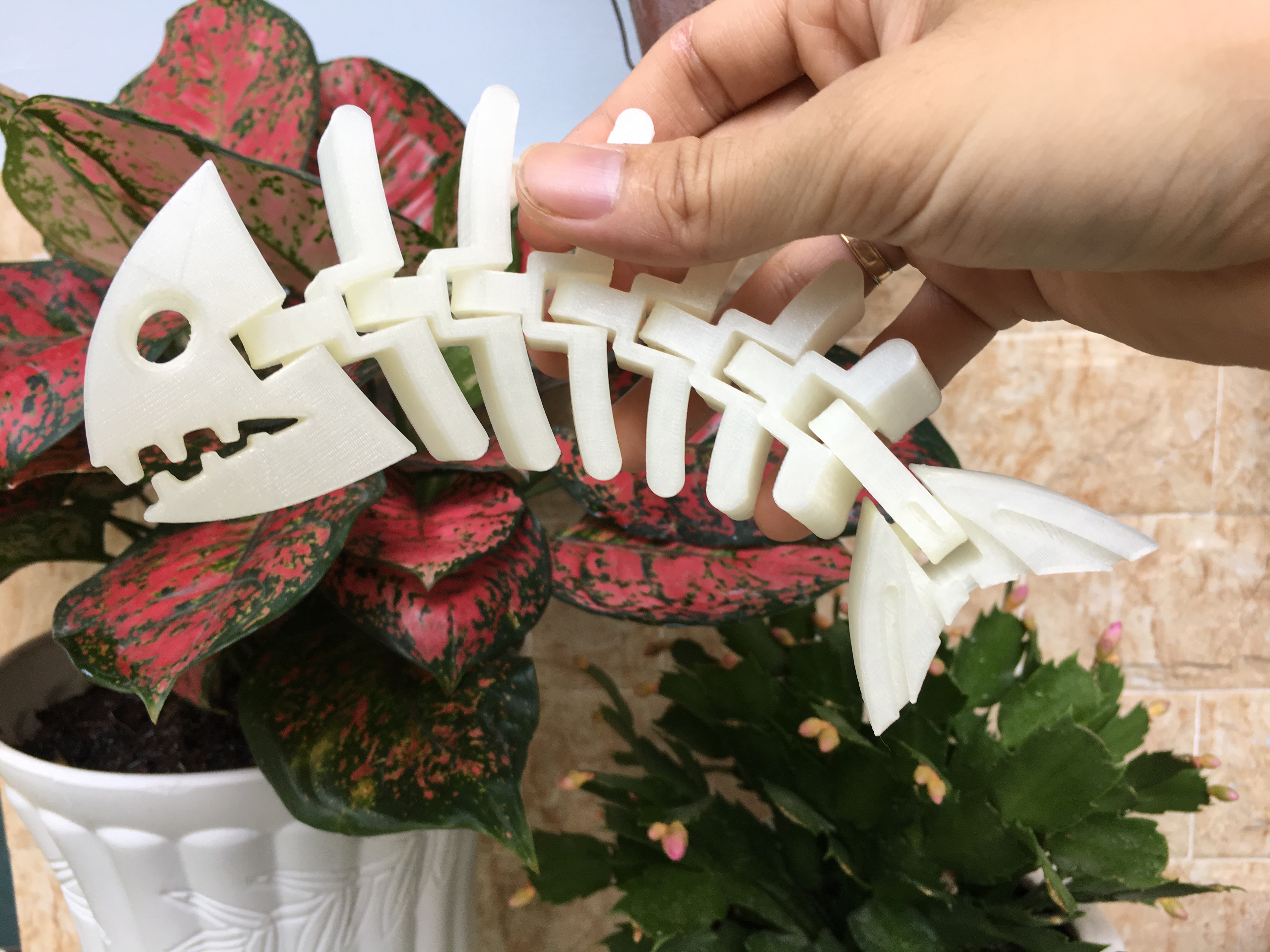 Mô hình in 3D - Xương cá linh hoạt