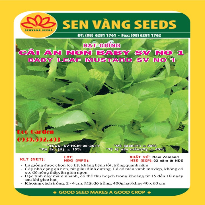Hạt giống cải bẹ xanh ăn non