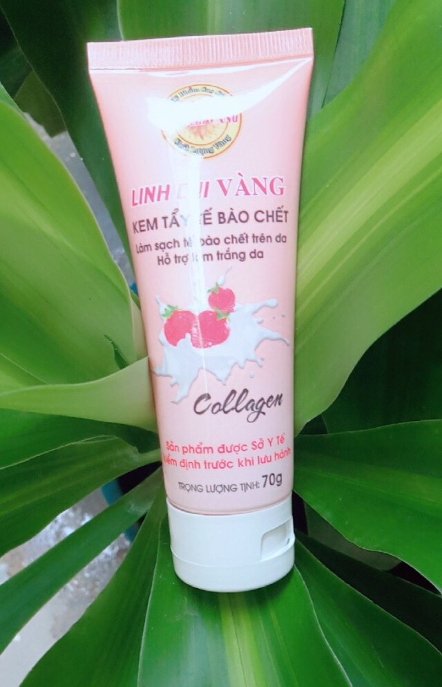 KEM TẨY TẾ BÀO CHẾT TÁI TẠO, TRẮNG DA LINH CHI VÀNG 70G