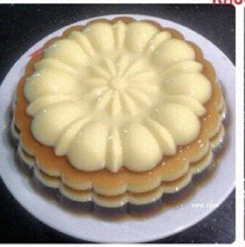 Khuôn nhựa rau cau hình hoa văn tròn 20cm