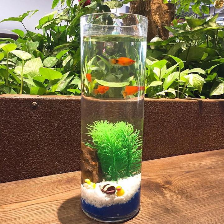 Chậu thủy tinh trụ tròn 10x30cm - Tặng phụ kiện