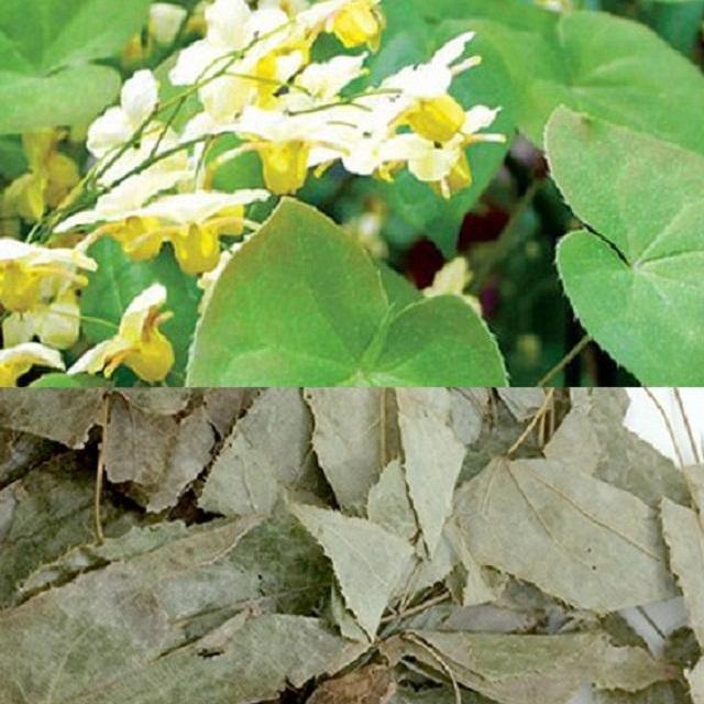 0,5 Kg dâm dương hoắc khô loại đặc biệt