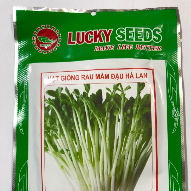 Hạt giống rau mầm đậu hà lan
