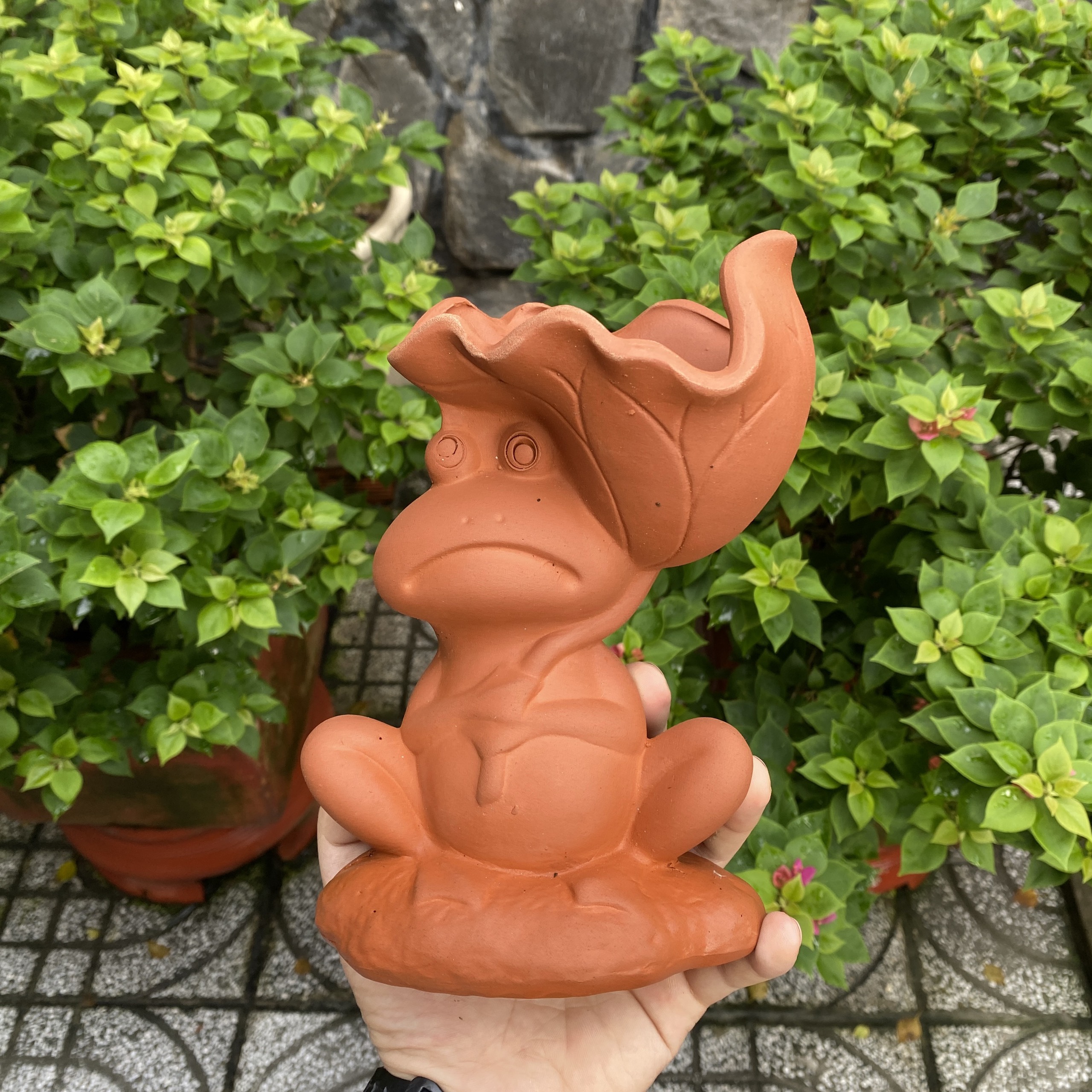 Chậu đất nung sen đá, xương rồng, cây cảnh - Ếch lá sen