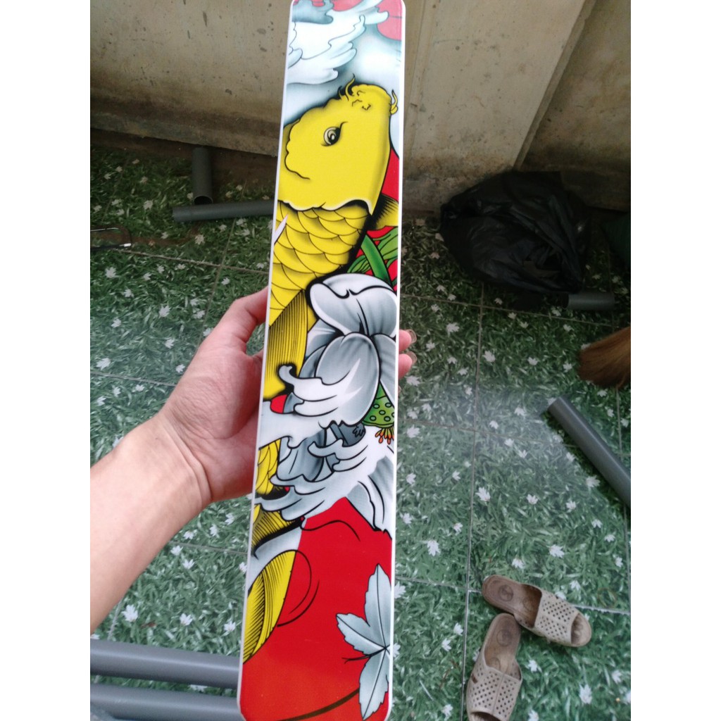 Hộp phao câu đơn hộp phao daiwa 3 ngăn