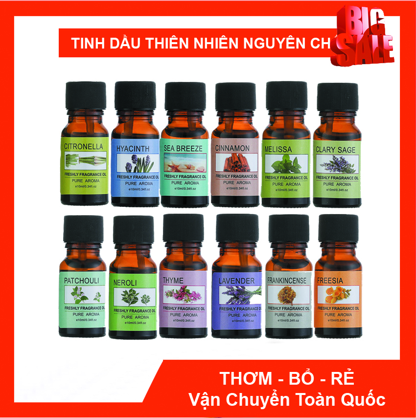 [Hàng Chính Hãng] Lọ 10ml Tinh Dầu Cao Cấp Triết Suất Từ Thiên Nhiên Giúp Đuổi Côn Trùng, Tạo Hương Thơm Giúp Bạn Thư Giãn, Sảng Khoái Mỗi Ngày