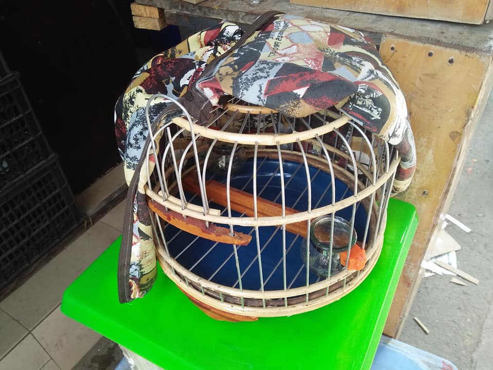 Lồng chim cu gáy kèm phụ kiện size 30 và 36 cm