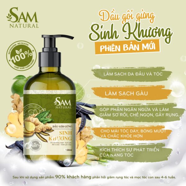 Dầu Gội Sinh Khương Sam Natural 500ml Ngăn rụng tóc, kích thích mọc tóc Làm đen tóc, trị gàu và làm sạch sâu da đầu