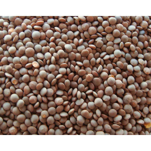 Masoor Whole - Đậu Lăng Đỏ nguyên hạt Sabut Masoor Daal (500g)