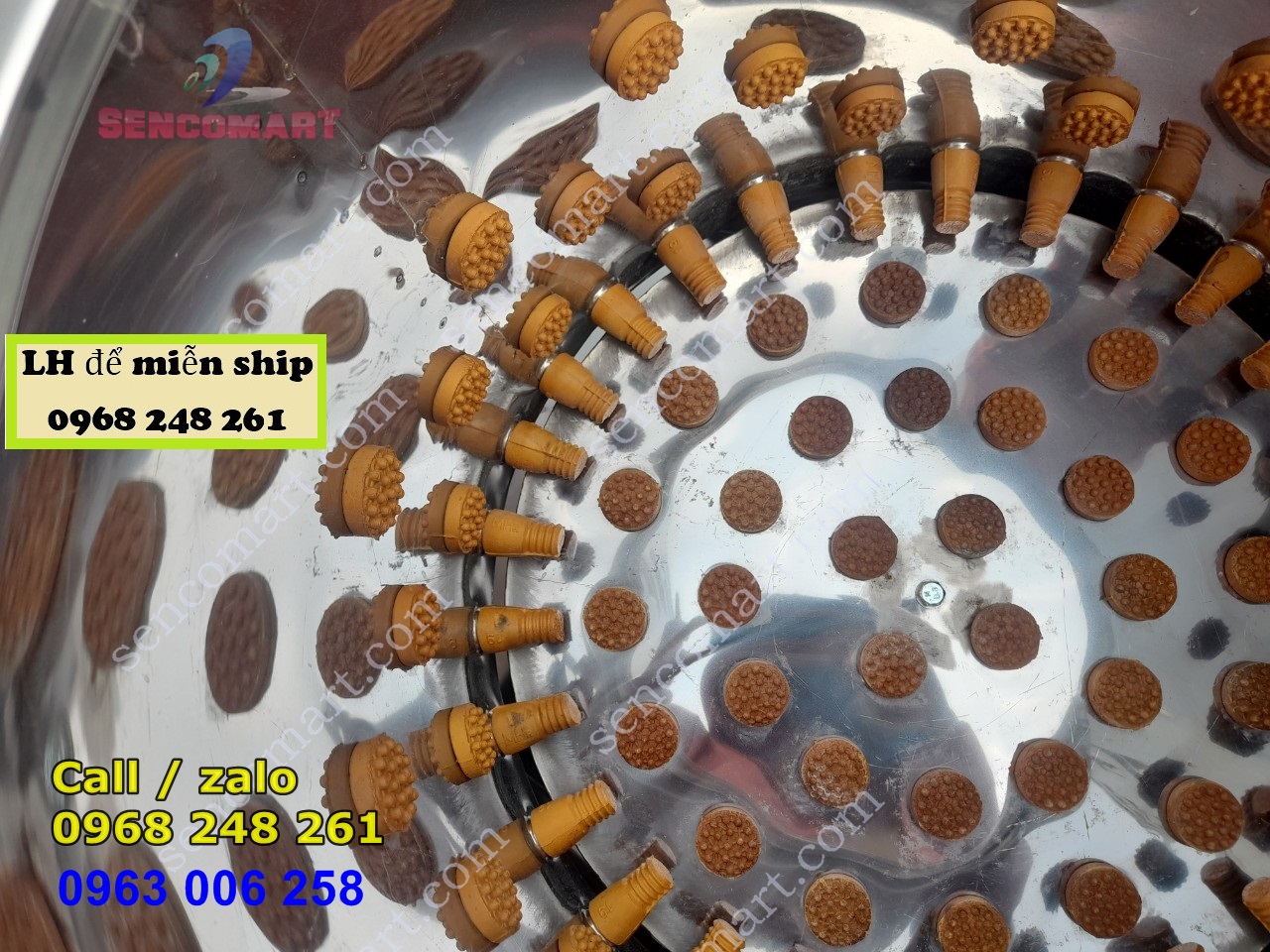 Máy vặt lông chim sẻ, máy vặt lông chim bồ câu, không dập mỏ