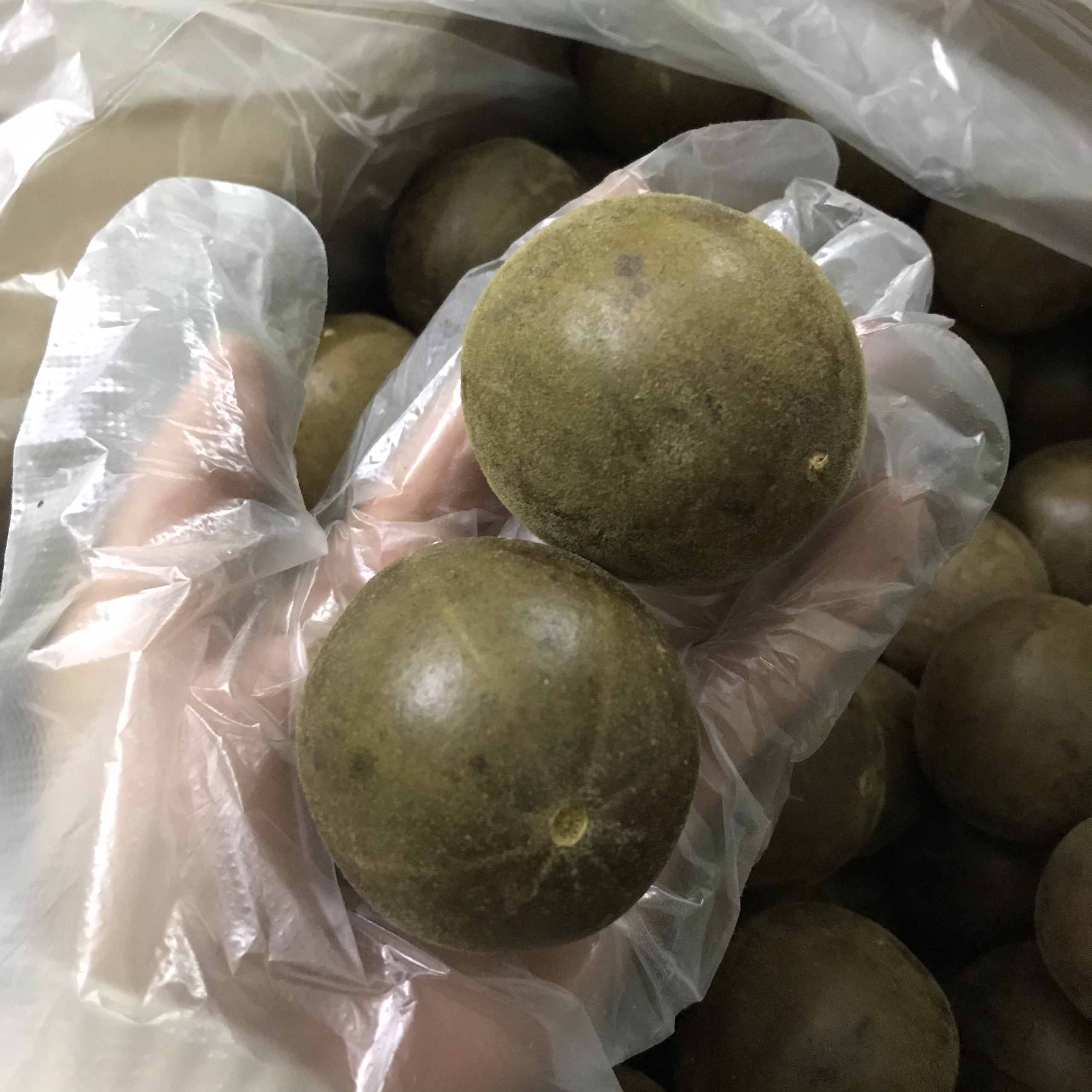Quả la hán thanh nhiệt loại to Việt Nguyên